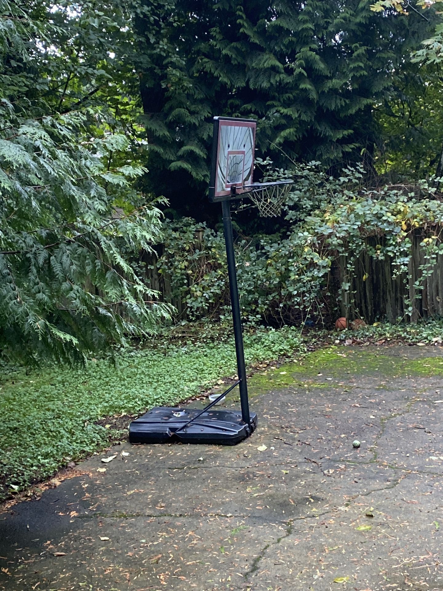 Basketball hoop