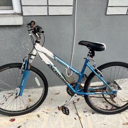 Schwinn Bike 