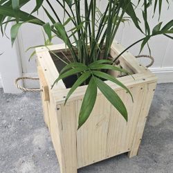 Pots For Plamts