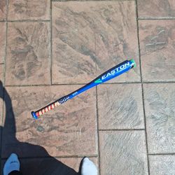Baseball Bat 29 Inch