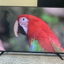 TCL 55" CLASS 5-SERIES 4K UHD DOLBY VISION HDR ROKU SMART TV - 55S515