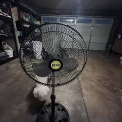 Fan
