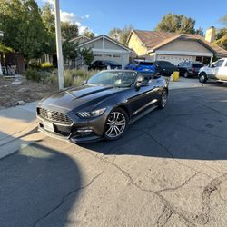 2016 Mustang Premium Convertible (Ecoboost)