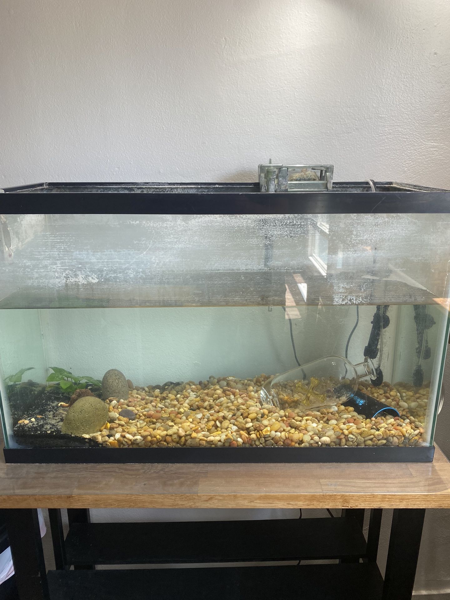30gal Fish Tank/supplies 