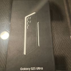 Samsung Galaxy S25 Ultra 