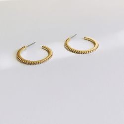 Gold Hoop Earrings 