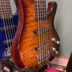 Strinberg 5 String Bass Guitar