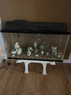 Fish Water 40 Gallons