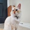madelyn