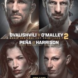 UFC 316 
