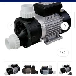 Pool And Spa Pump 