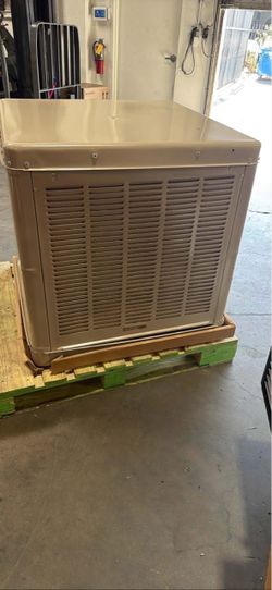 Swamp cooler champion