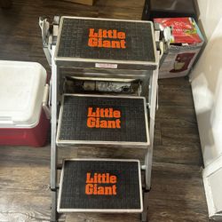 Little giant ladder