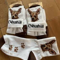 Very Cute CHIHUAHUA Socks NEW——3—pairs