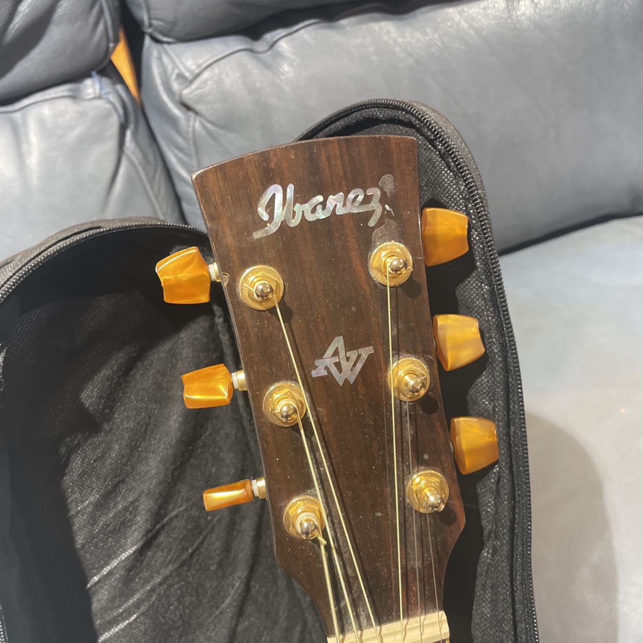 Ibanez Guitar With Material Case