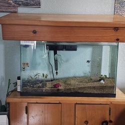 Fish Tank With Cabinet & Lid, Light, 3 Plants & Filter