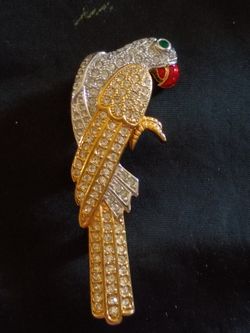 Parrot Rhinestone Brooch