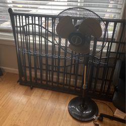 Fan