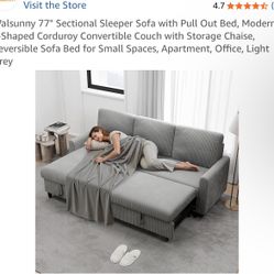Sofa Couch With Storage And Pull Out Bed 2 