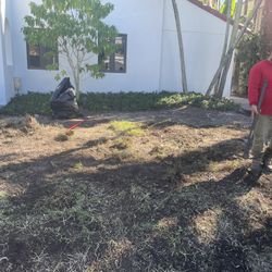 Sod Installation 