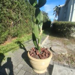 PRICE REDUCTION DUE TO RELOCATION,  NEW FIRE GLAZED TERRA COTTA PLANTER MADE BY "MAGESTIC FOUNTAINS" WITH ROCKS, SOIL AND A CACTUS PLANT, NICE SETUP!!