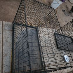 Dog Cage