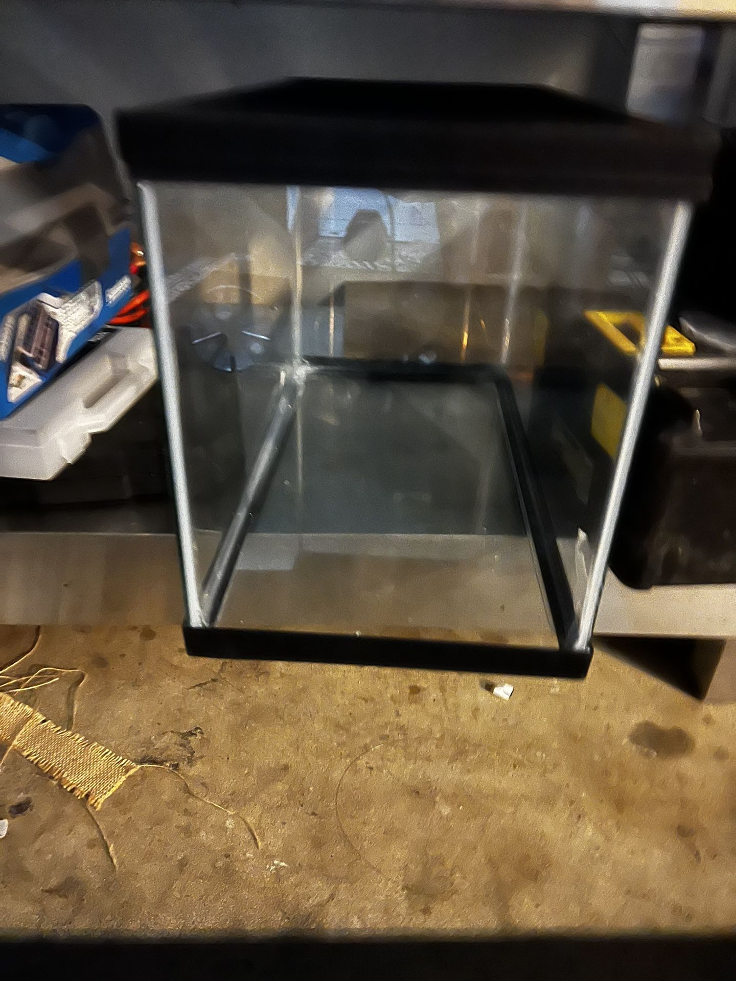 Zoo Med: Bulb Housing, Heat And UVB bulb, 10G Tank