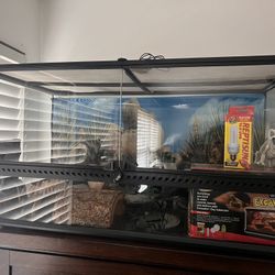 Reptile Terrarium 