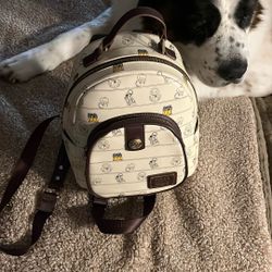 Wall E Pixar Bag For Disney🤩