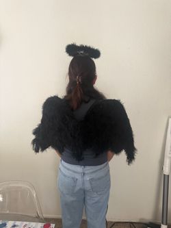 Real Feather Wings With Halo