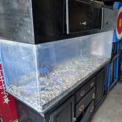 Fish Tank 90 gallons with extras Aquarium 