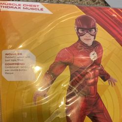 Flash Costume 