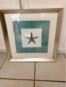 Starfish picture