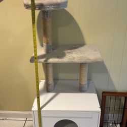 Cat Tree And Bed