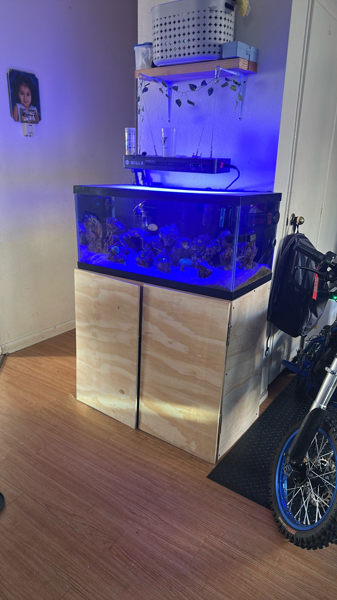 Saltwater Reef Aquarium For Sale