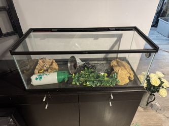Aquarium For Snakes And Reptiles 