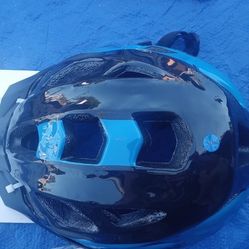 Schwinn Bike Helmet