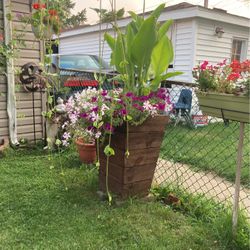 19”X20”X29 Tall Flower Pot Or Custom Size
