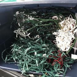 Large Tote Full Of Clear Lights Everything For $40 Firm