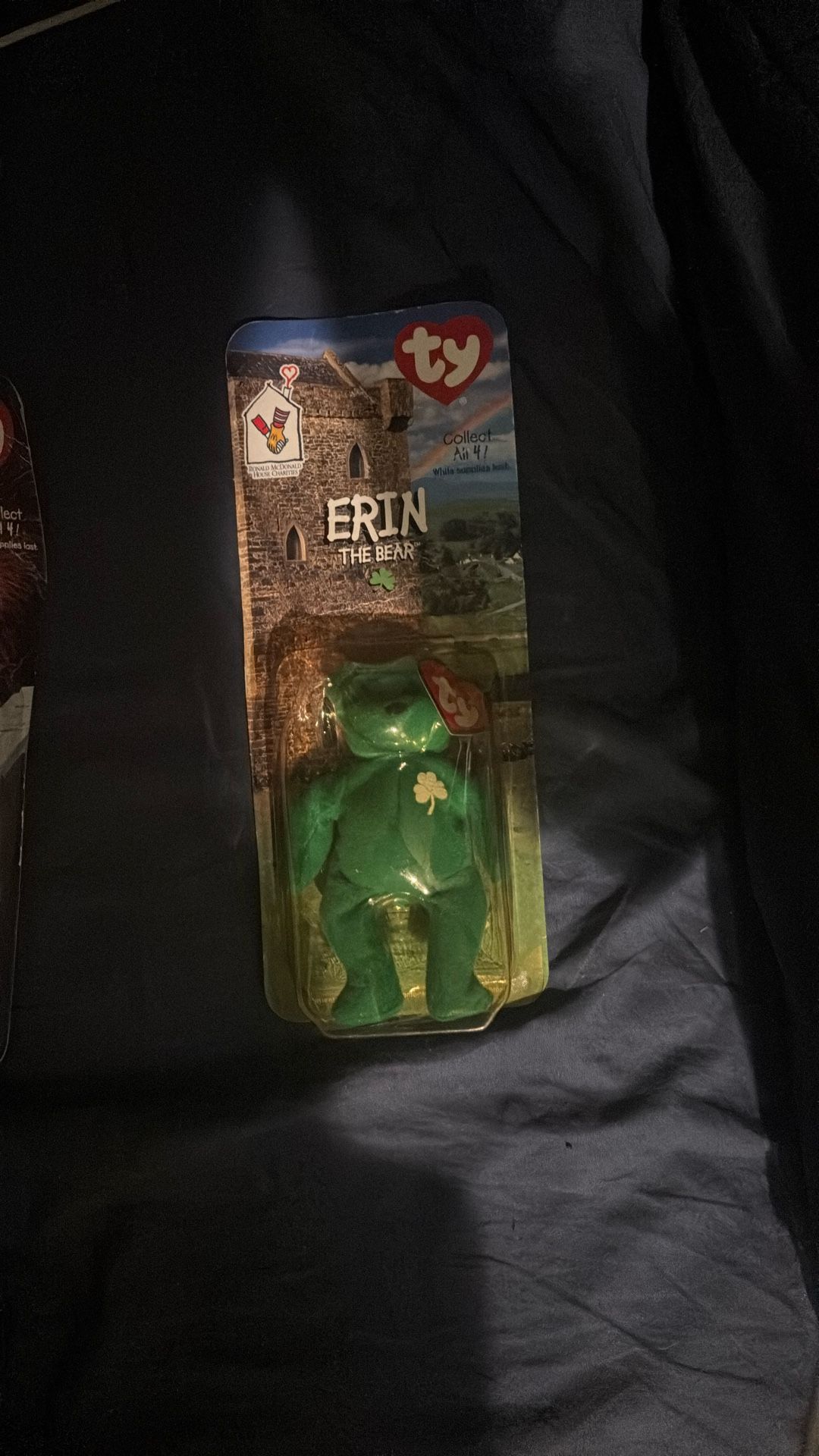 Erin The Bear