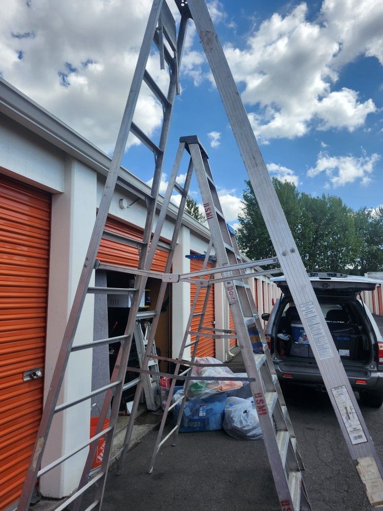 12' Aluminum Ladder