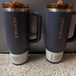 Stanley 30 oz. Flip Straw Tumbler