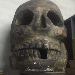 Skeleton head