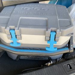 Igloo Cooler 