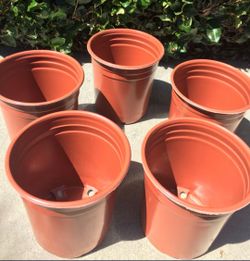 One Gallen pot in red