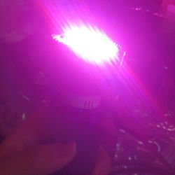 2 Pink Grow Lights