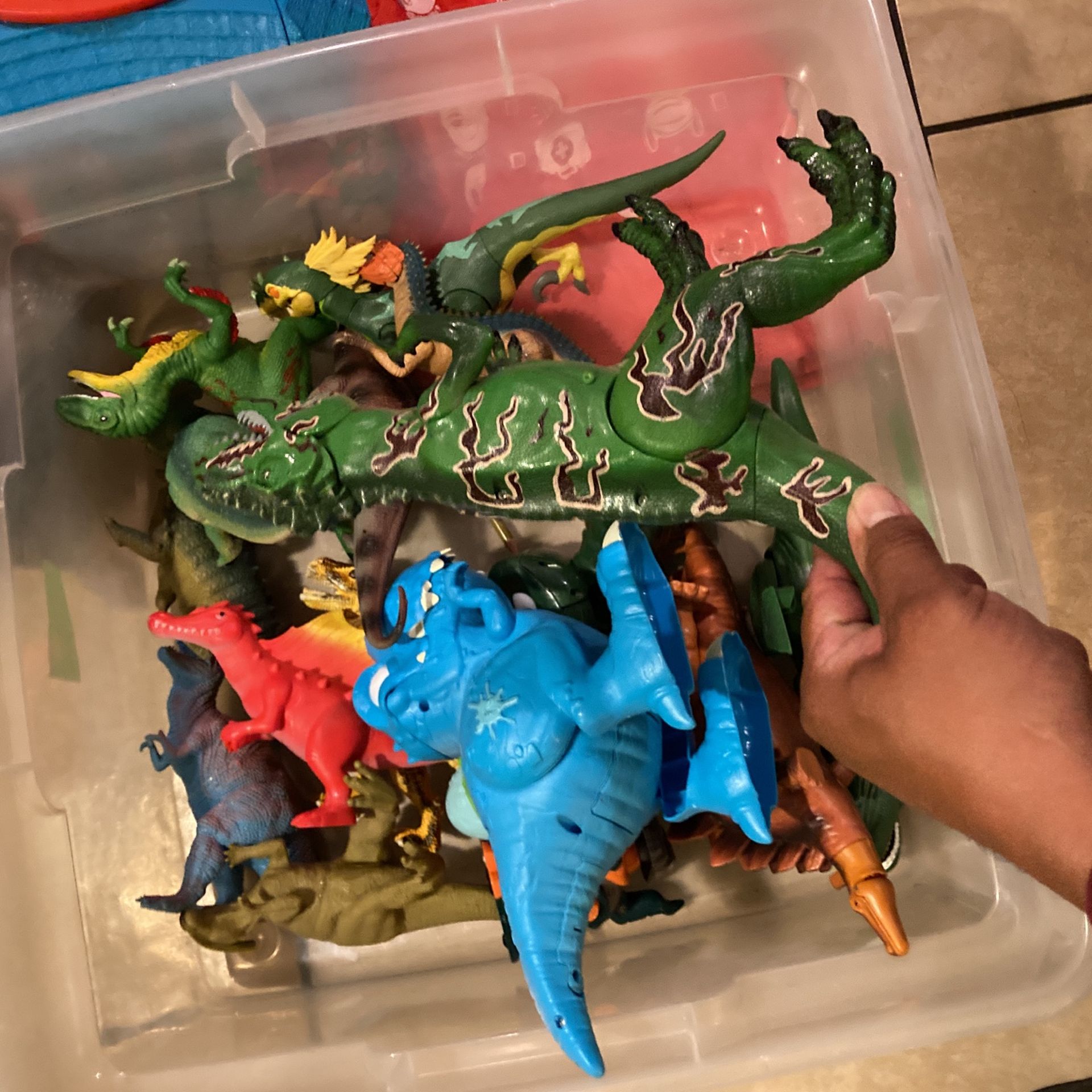Dinosaur Box 