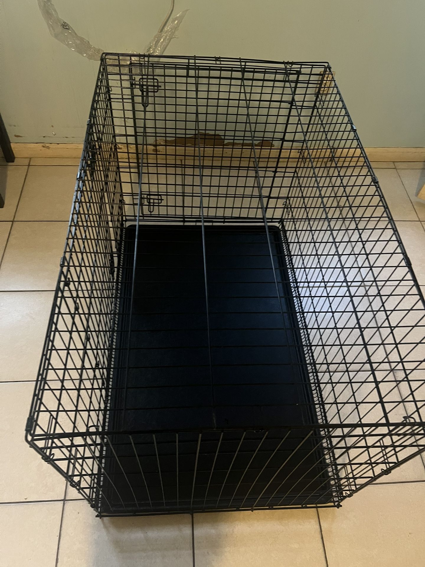 Dog House