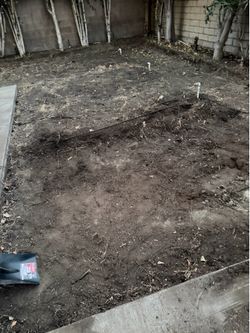 Free top potting soil
