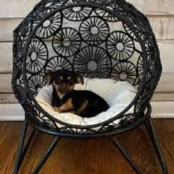 Pet Bed